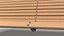 Park Bench