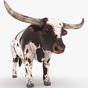 Texas Longhorn Bull Low poly 3D