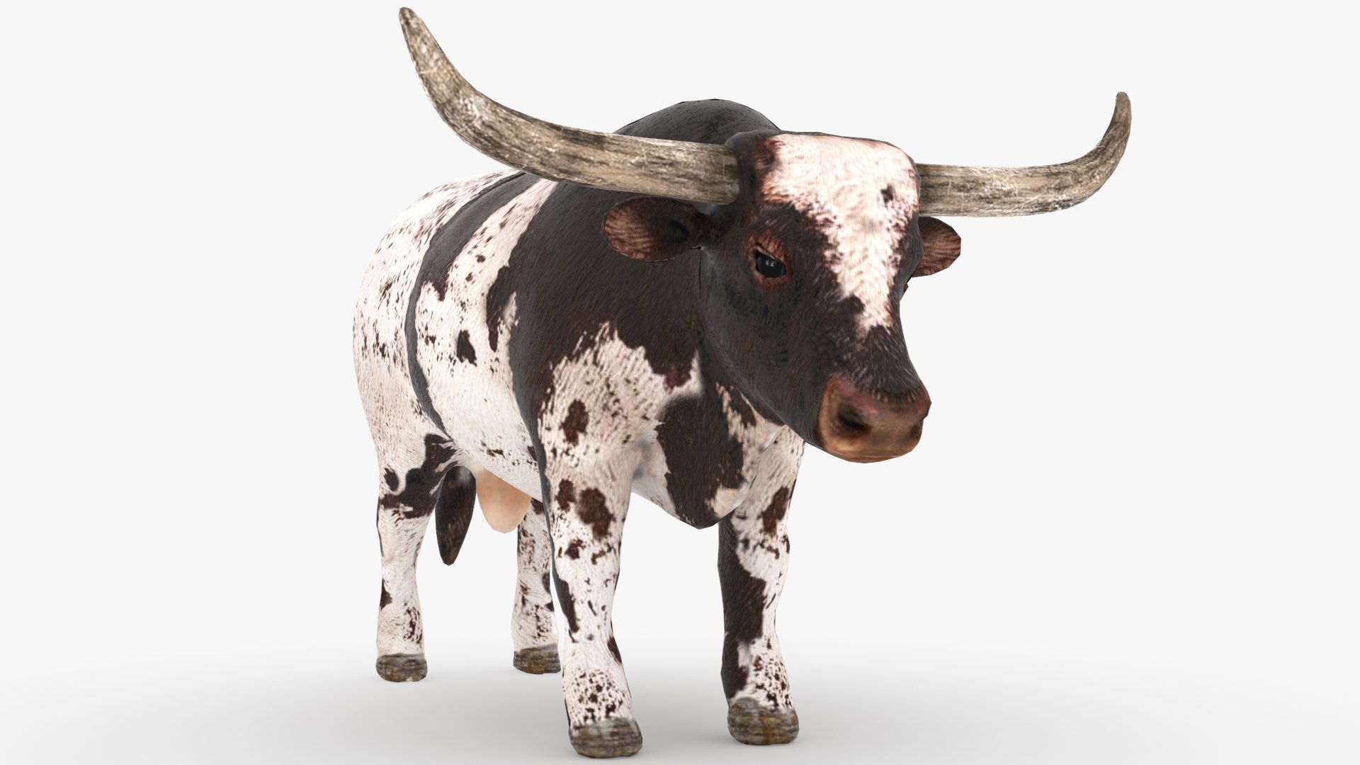 Texas Longhorn Bull Low Poly 3D - TurboSquid 1722715, image size:1920x1080