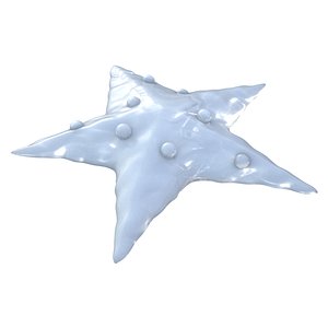 starfish model