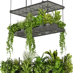Collection plant vol 426 - pothos - hanging - ampelous - palm 3D model