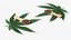 Chanvre en feuilles avec graines dans une cuillère en bois
