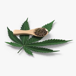 Leaf Hemp with Seeds in Wooden Spoon 3D