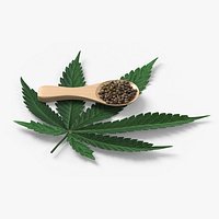 Leaf Hemp with Seeds in Wooden Spoon