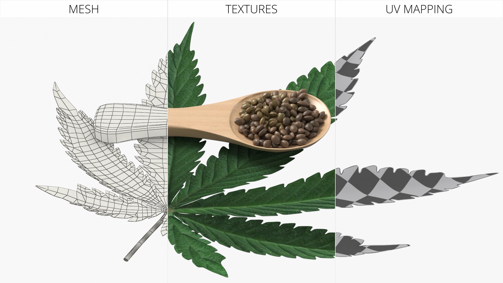 Leaf Hemp with Seeds in Wooden Spoon 3D https://p.turbosquid.com/ts-thumb/H4/p8YVRX/rY/leaf_hemp_with_seeds_in_wooden_spoon_007/jpg/1766754105/1920x1080/fit_q87/fa01d0a2cea8124da84bb4a6ed0a57c588012439/leaf_hemp_with_seeds_in_wooden_spoon_007.jpg