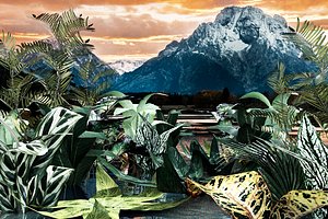 Set of plant tropic 7 3D model