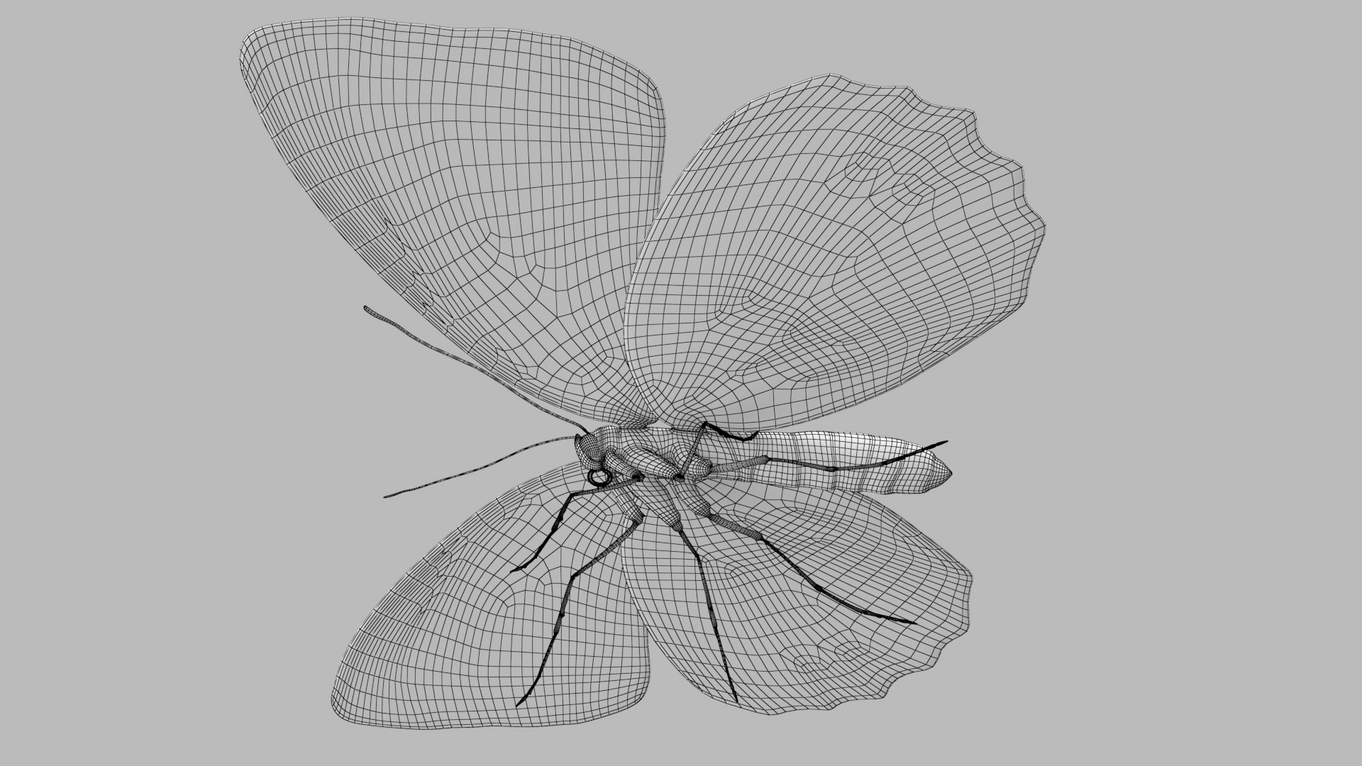 Marbled White Butterfly 3D https://p.turbosquid.com/ts-thumb/H4/z7ceXR/ES/marbledwhite_r5w/png/1639983607/1920x1080/fit_q87/538f013e5cda77a8ec5252565f3e71cbe8adce96/marbledwhite_r5w.jpg