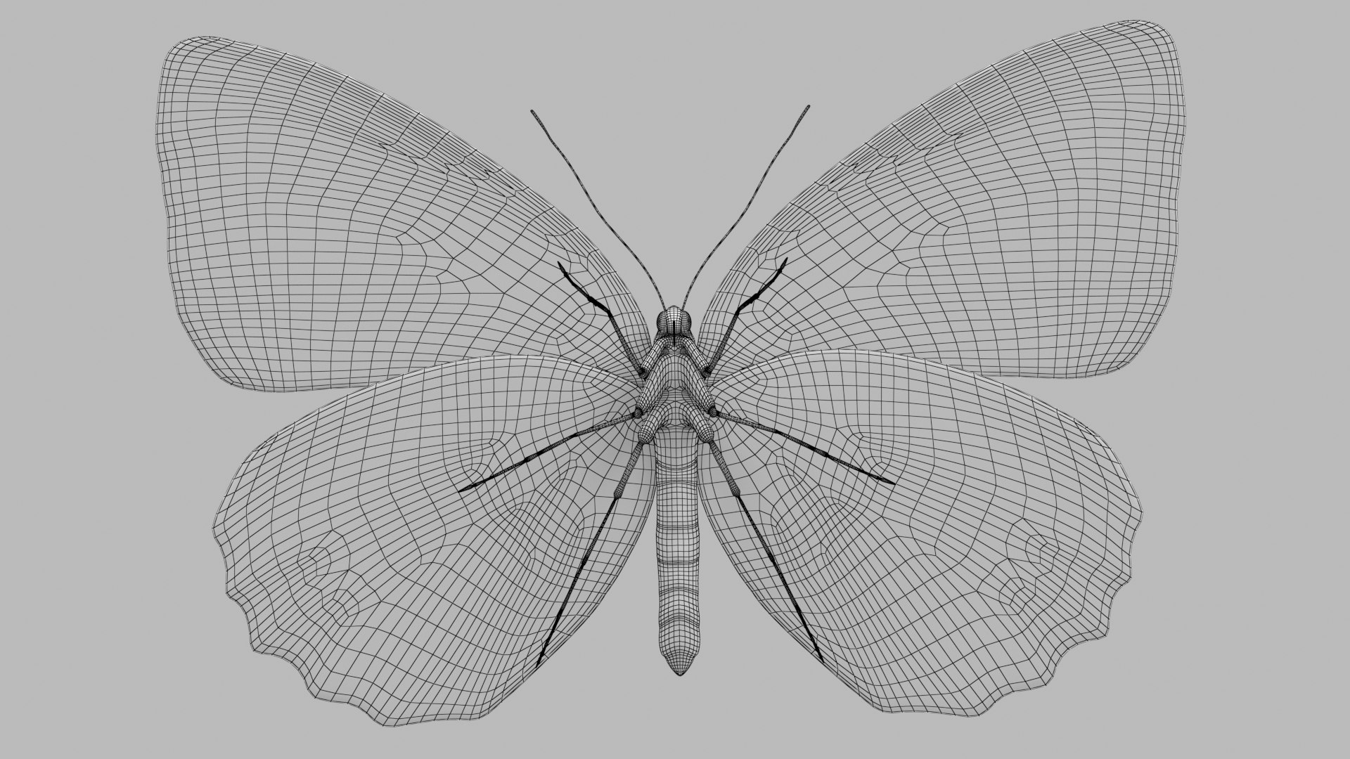 Marbled White Butterfly 3D https://p.turbosquid.com/ts-thumb/H4/z7ceXR/Ju/marbledwhite_r2w/png/1639983609/1920x1080/fit_q87/873659f1f80cec1e1bb33e2b8f601adb2ff226b3/marbledwhite_r2w.jpg