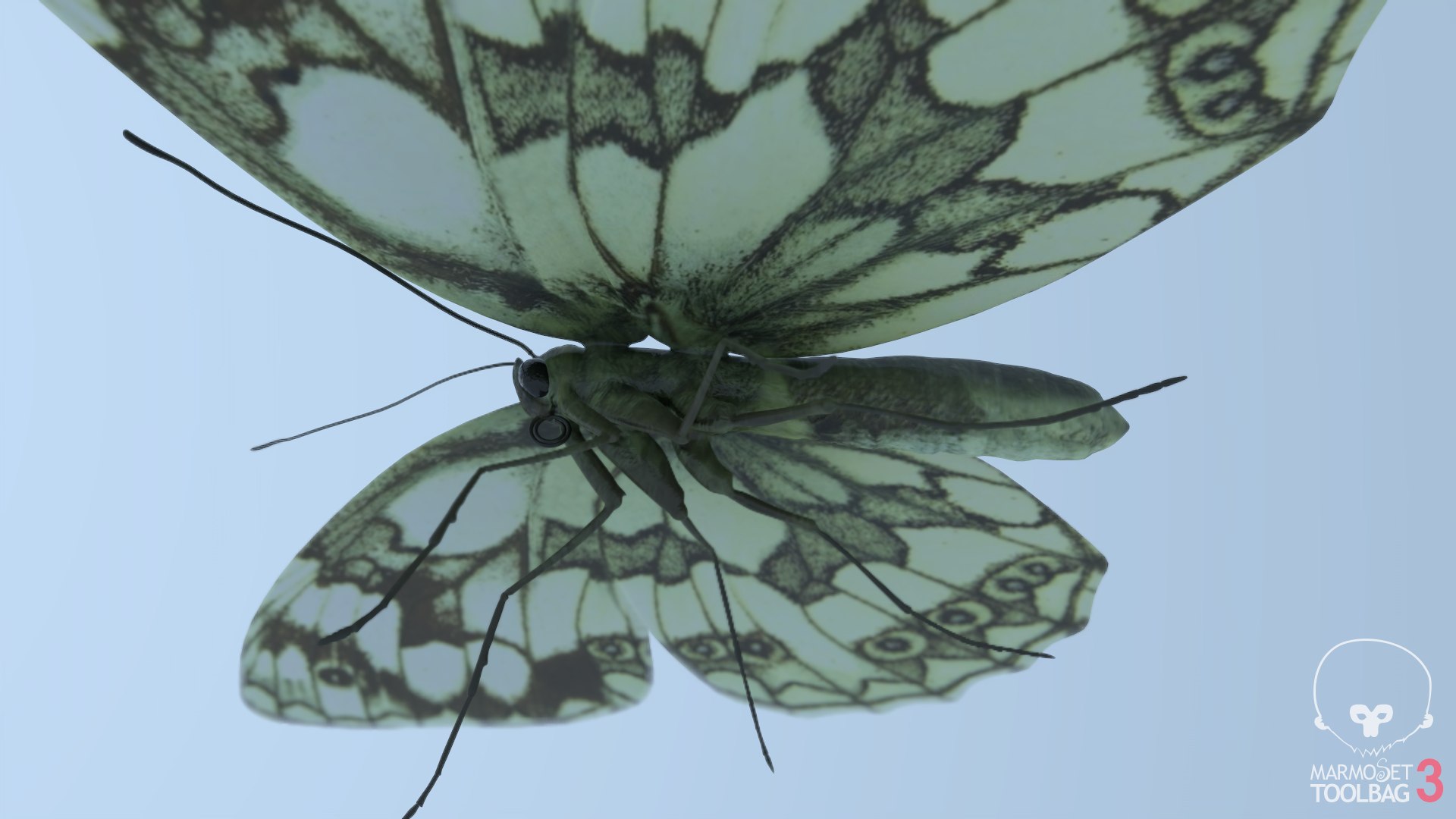 Marbled White Butterfly 3D https://p.turbosquid.com/ts-thumb/H4/z7ceXR/Tb/screenshot592/png/1639983605/1920x1080/fit_q87/5eda9fae2596f41045d9c184e23c05cca19a4efa/screenshot592.jpg