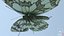 Marbled White Butterfly