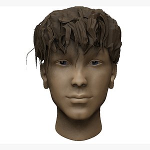 3D FACE model