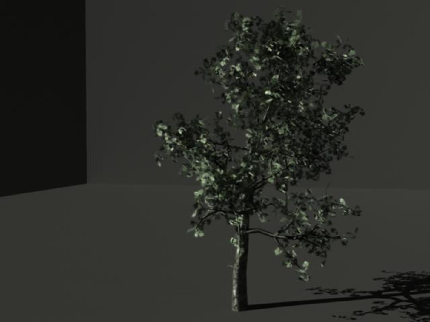 Tree 3d Fbx