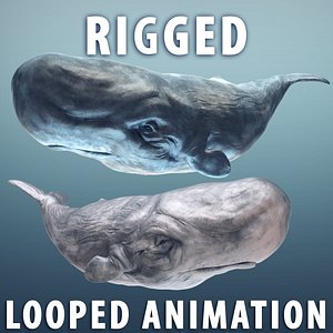 Sperm whale blue moby (2)