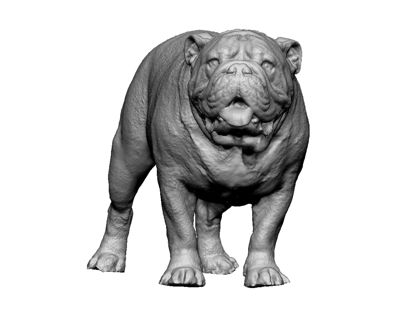 Dog Scanned Photogrammetry 3D Model - TurboSquid 1349193