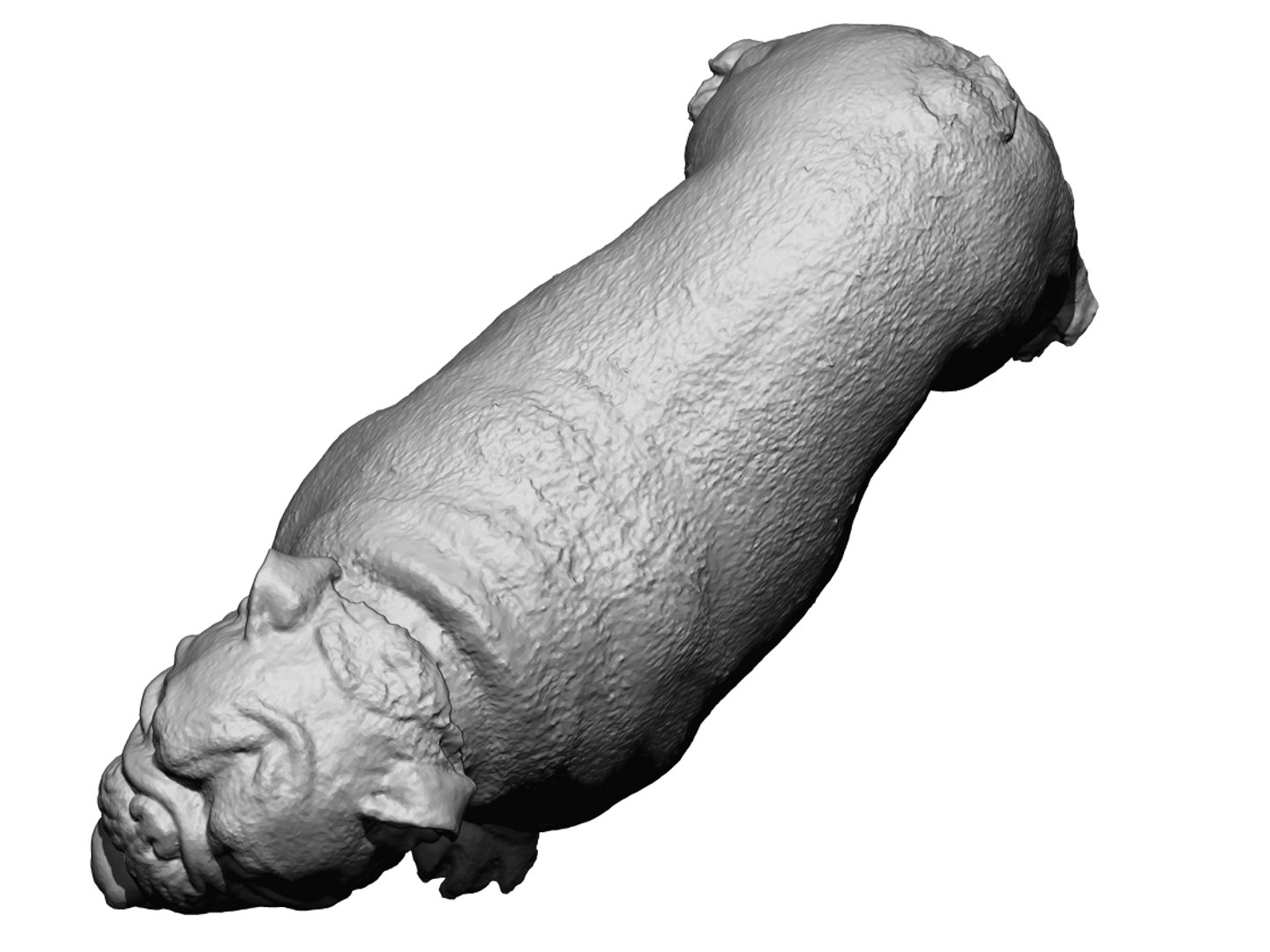 Dog Scanned Photogrammetry 3D Model - TurboSquid 1349193