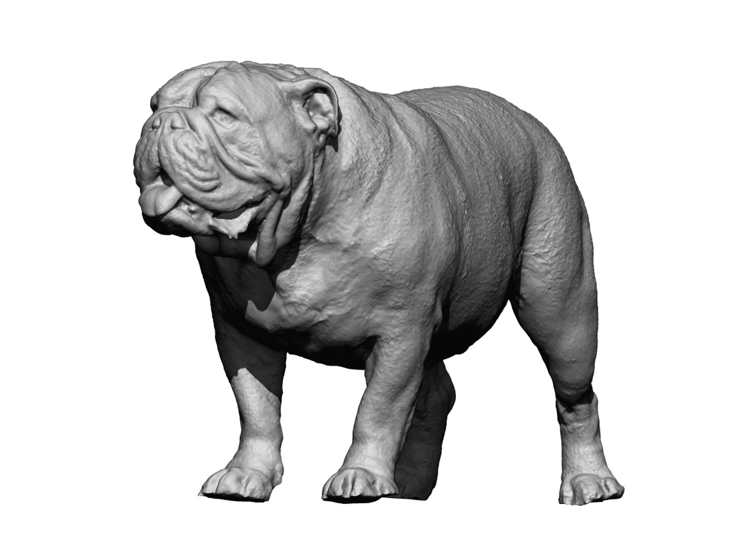 Dog Scanned Photogrammetry 3D Model - TurboSquid 1349193