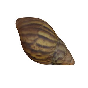 3D model Game Ready Snail