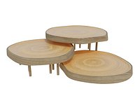 MESA VITORIA REGIA TORA BRASIL