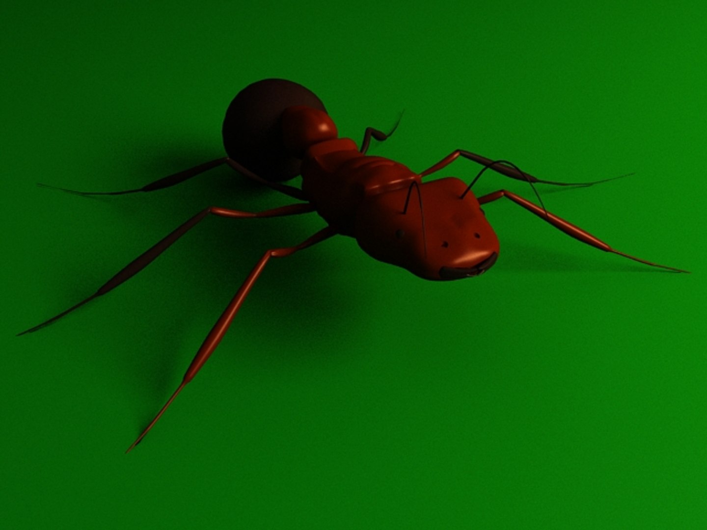 3d ant model