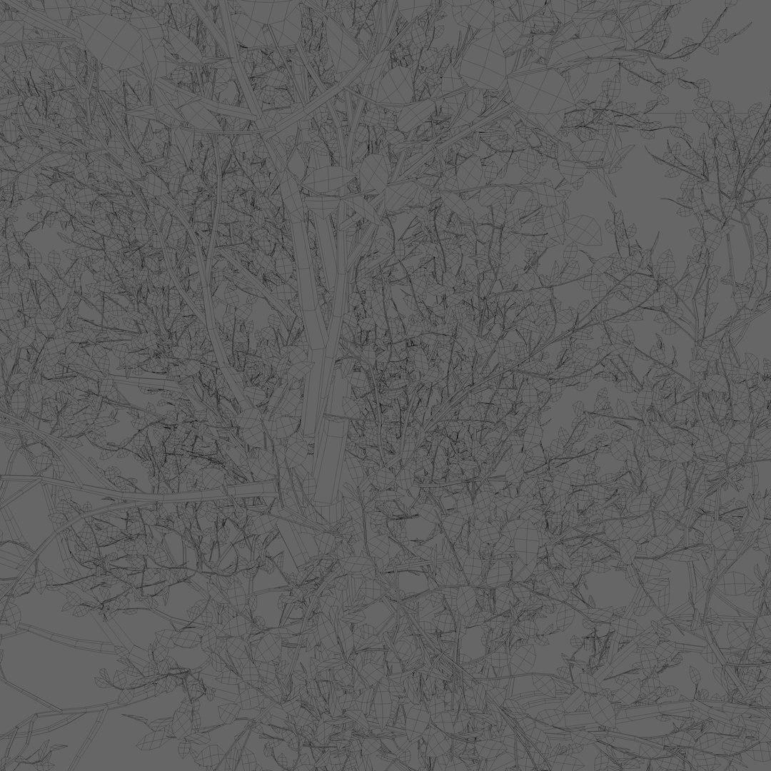 3D pink leaf tree https://p.turbosquid.com/ts-thumb/H5/r1iquF/d6NBW4nM/pinkleaftree4/png/1529911618/1920x1080/fit_q87/dbddd5a15d68e4a0b5d3a7bd9fc0be012499738b/pinkleaftree4.jpg