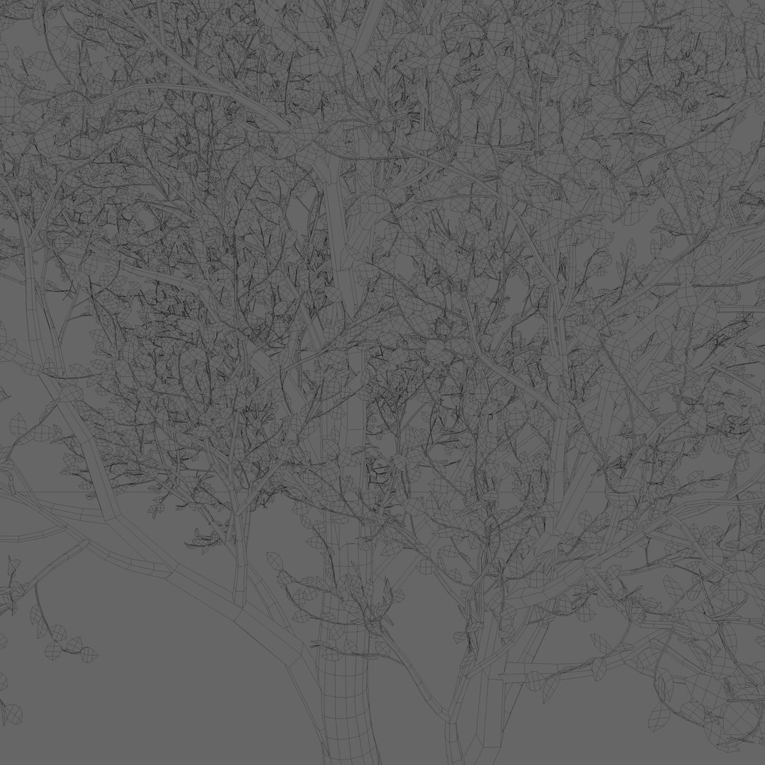 3D pink leaf tree https://p.turbosquid.com/ts-thumb/H5/r1iquF/uTsV2EsM/pinkleaftree6/png/1529911618/1920x1080/fit_q87/221d62917c482cc378fd3b3f1ce317226b381738/pinkleaftree6.jpg