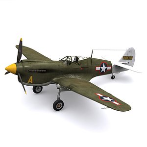 P-40N Warhawk 35thFS 8thFG New Guinea 1944