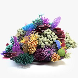 Coral Reef 3D Models for Download | TurboSquid