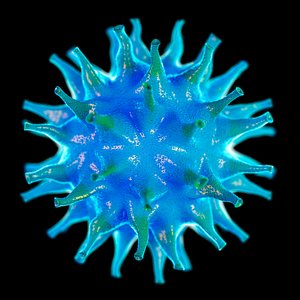 Bacterium Blue