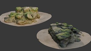 Mossy Beach Rock Scan 3D model