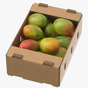 Cardboard Display Box 01 with Mango