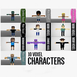 Voxel characters model