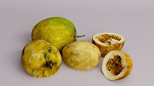 3D Passion Fruit Scan Pack model