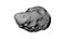 Asteroid