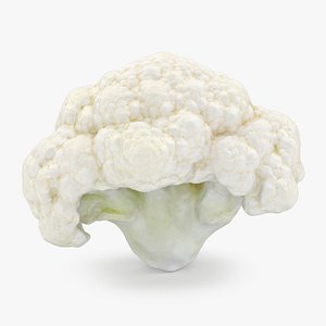 Cauliflower Florets 02 3D model