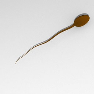 3d sperm