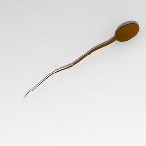 sperm.obj