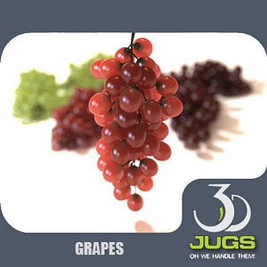 grapes fruits max