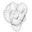 Primer molar superior