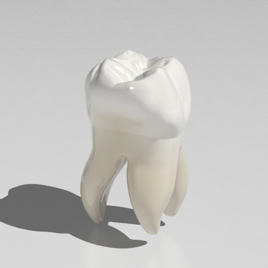 3d model of molar https://p.turbosquid.com/ts-thumb/H7/CPWtbJ/zQX1pAbd/16/jpg/1444405039/1920x1080/turn_fit_q99/2542df77e1471d81eeb83a6b431ea208638eedb9/16-1.jpg