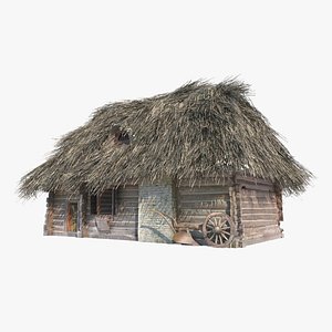 Ancient thatched cottages in Western Europe