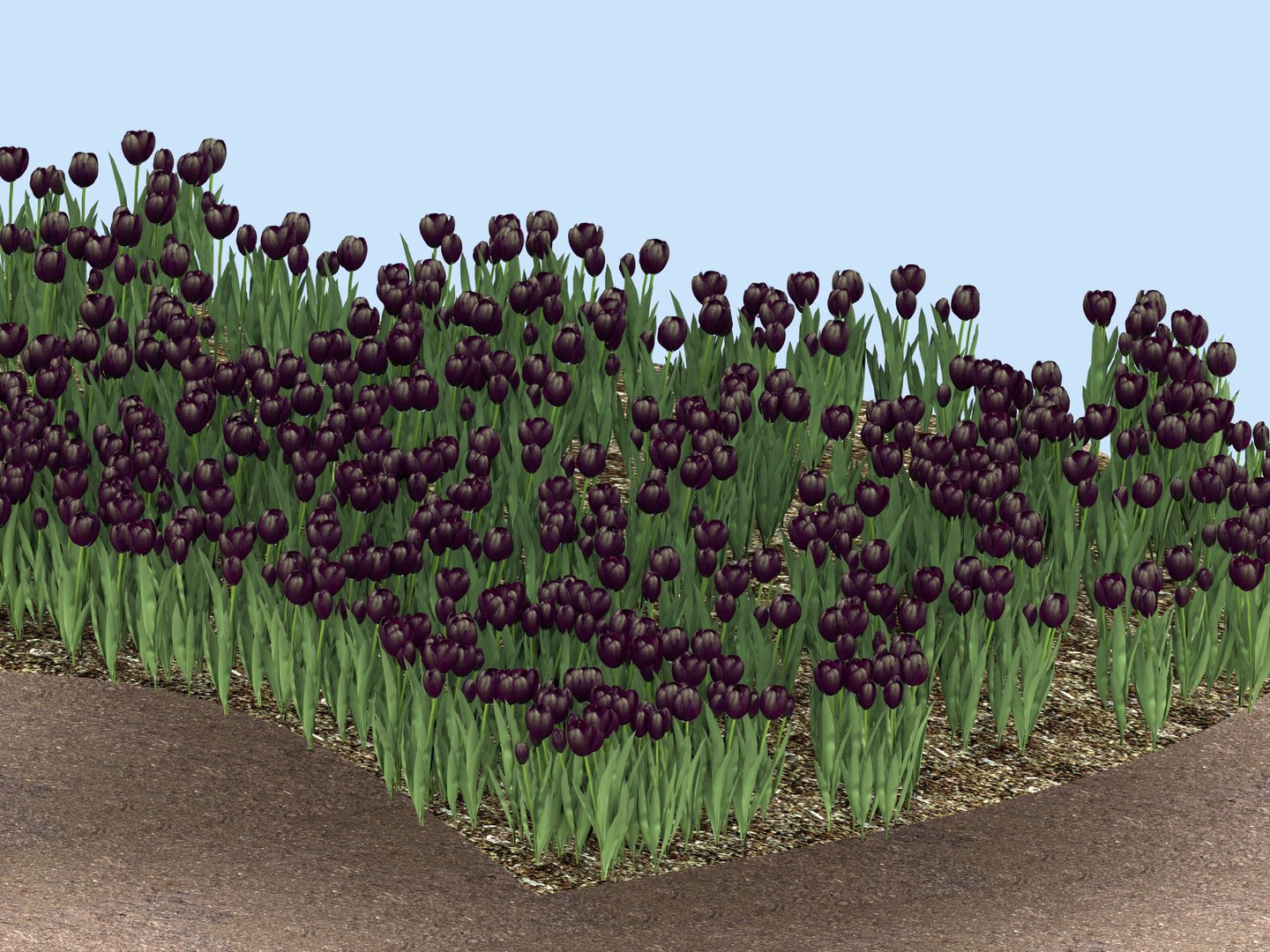 bed black tulips 3D model https://p.turbosquid.com/ts-thumb/H7/PA9jVa/hU3cSBCg/backtulp7/jpg/1522181050/1920x1080/fit_q87/94c324c7c6132f4c520566d0b0ecf34eb57c30e5/backtulp7.jpg