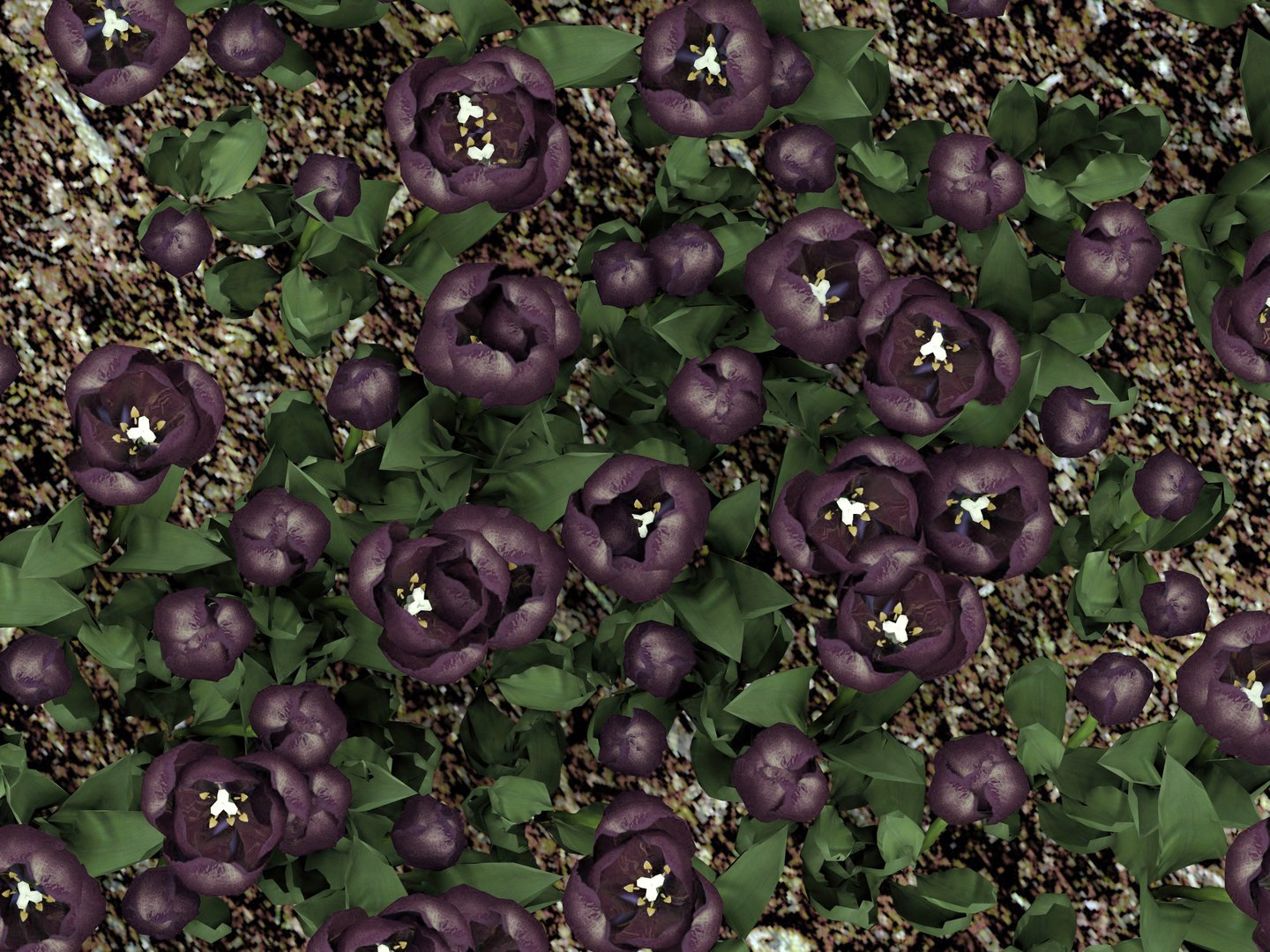 bed black tulips 3D model https://p.turbosquid.com/ts-thumb/H7/PA9jVa/r9wbWx8E/backtulp9/jpg/1553911787/1920x1080/fit_q87/f7c0b9287ef9b0d98ab67a5cbf589cb26f6dc729/backtulp9.jpg