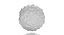 Basophil