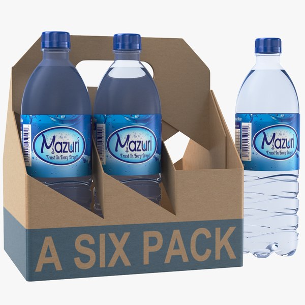 3D model 6 Pack Water Bottles