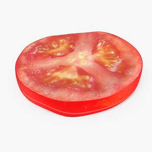 3D tomato slice model