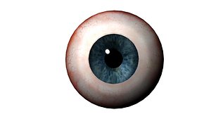 human eye 3d ma