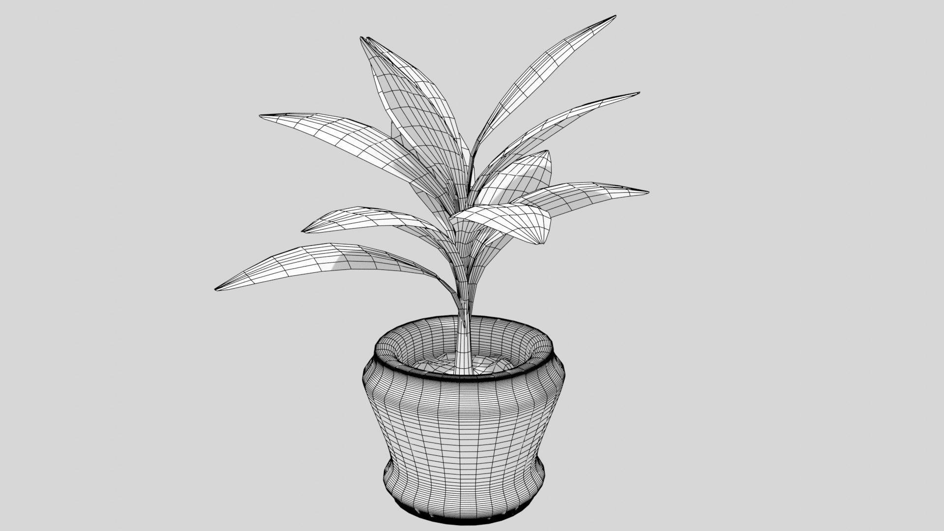 IndoorPlant 3D Model - TurboSquid 1851455