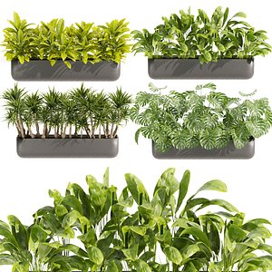 Collection plant vol 424 - indoor - peace lily - Croton - monstera - palm - 3dmax - cinema 4d