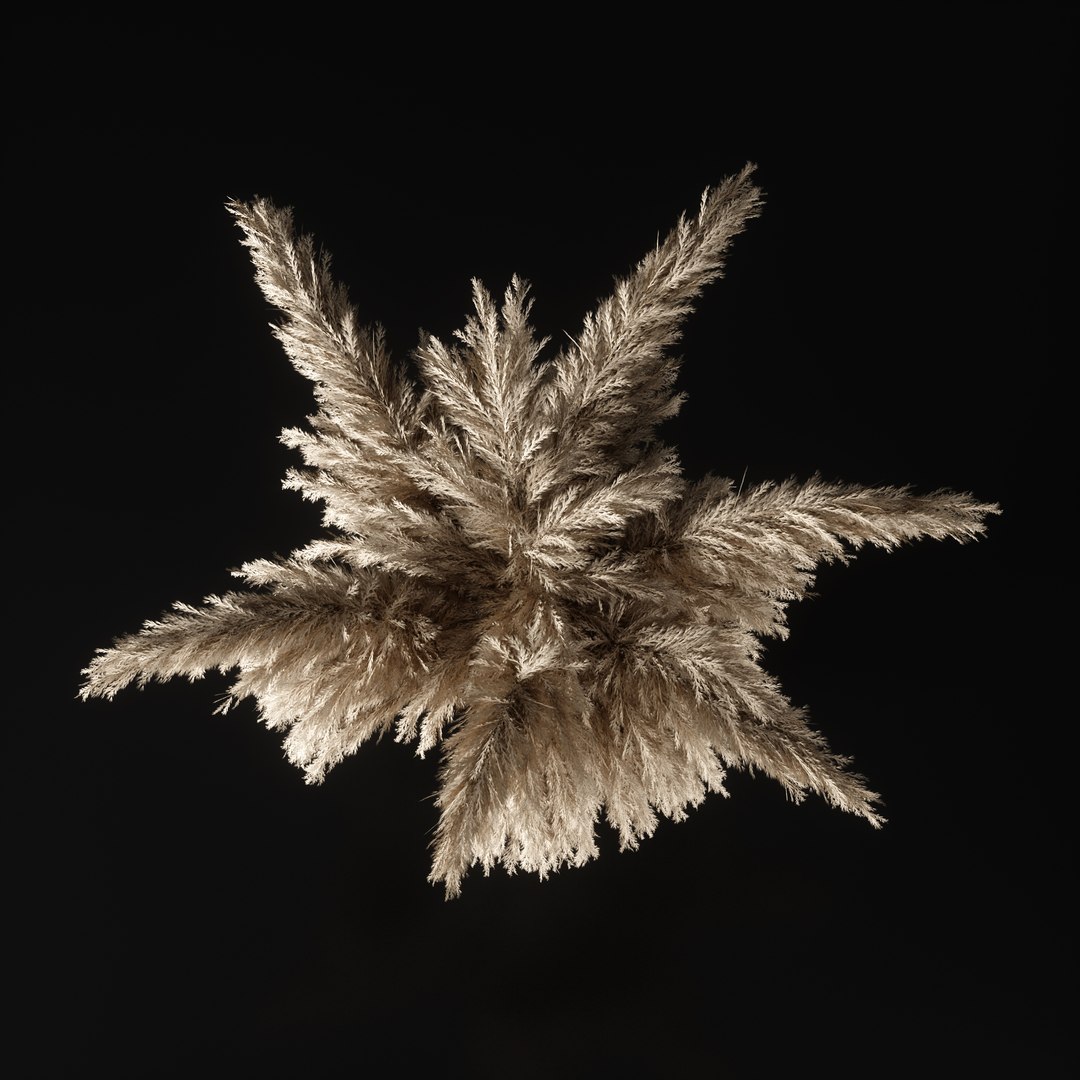 decorative vase 06 3D https://p.turbosquid.com/ts-thumb/H7/luZl3r/PpPXZGwG/dv06_04/jpg/1577202804/1920x1080/fit_q87/5e7d7b5bf7d2b6f97c06a817b7cd51b3a9879dc6/dv06_04.jpg