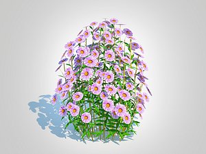 3D Aster novae-angliae - New England Aster - mauve model